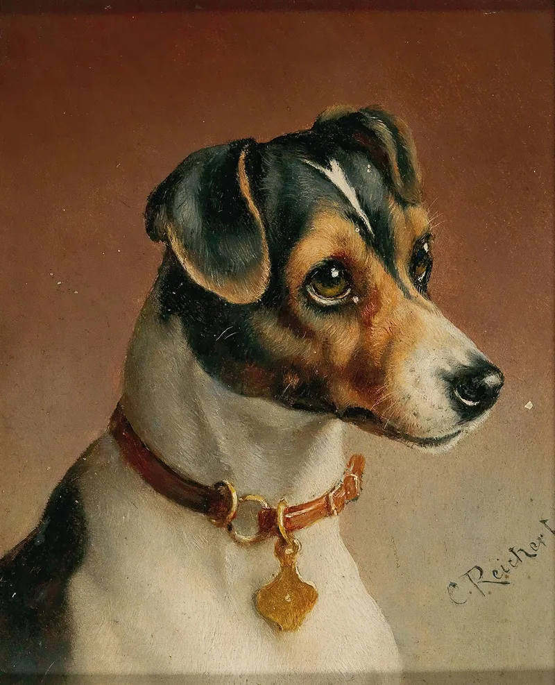 Portrait Of A Jack Russel Terrier Wall Art by Carl Reichert - High-Resolution Digital Print