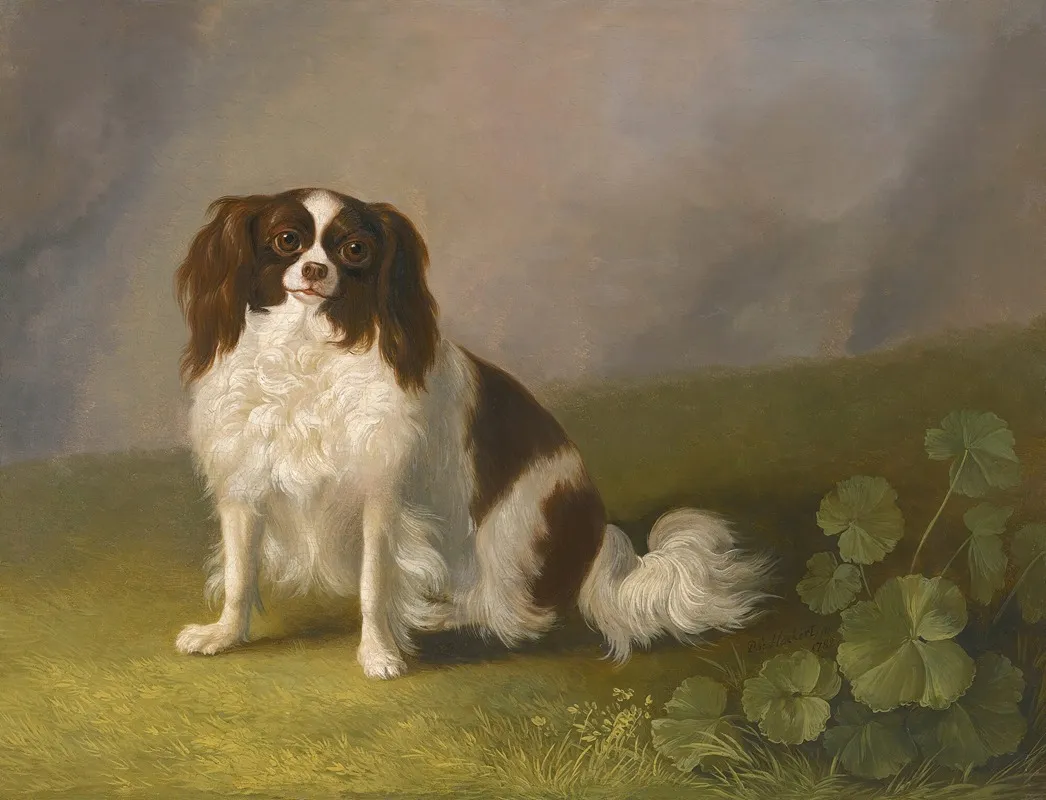 Portrait Of A King Charles Spaniel In A Landscape 3