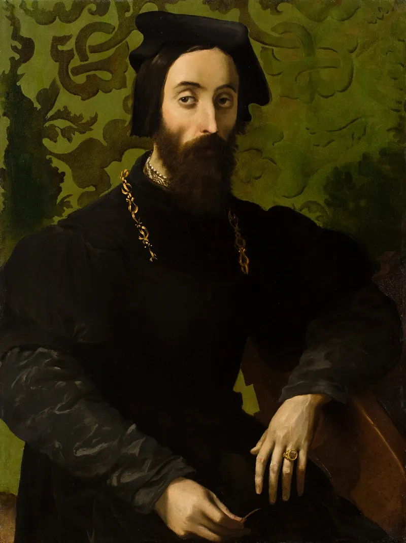 Portrait Of A Musician Wall Art by Girolamo Mazzola Bedoli - High-Resolution Digital Print