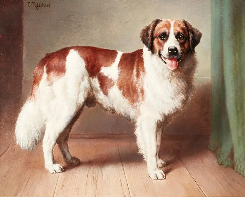 Portrait Of A St Bernard Wall Art by Carl Reichert - High-Resolution Digital Print