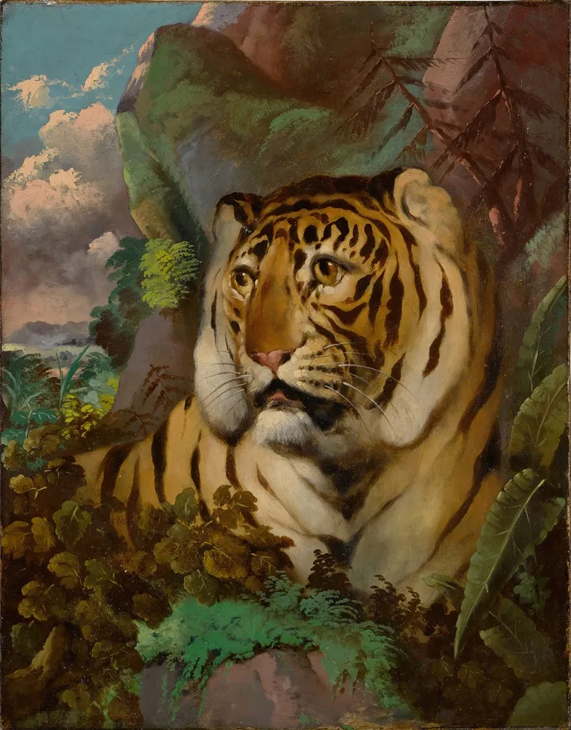 Portrait Of A Tiger Wall Art by Circle of William Huggins - High-Resolution Digital Print