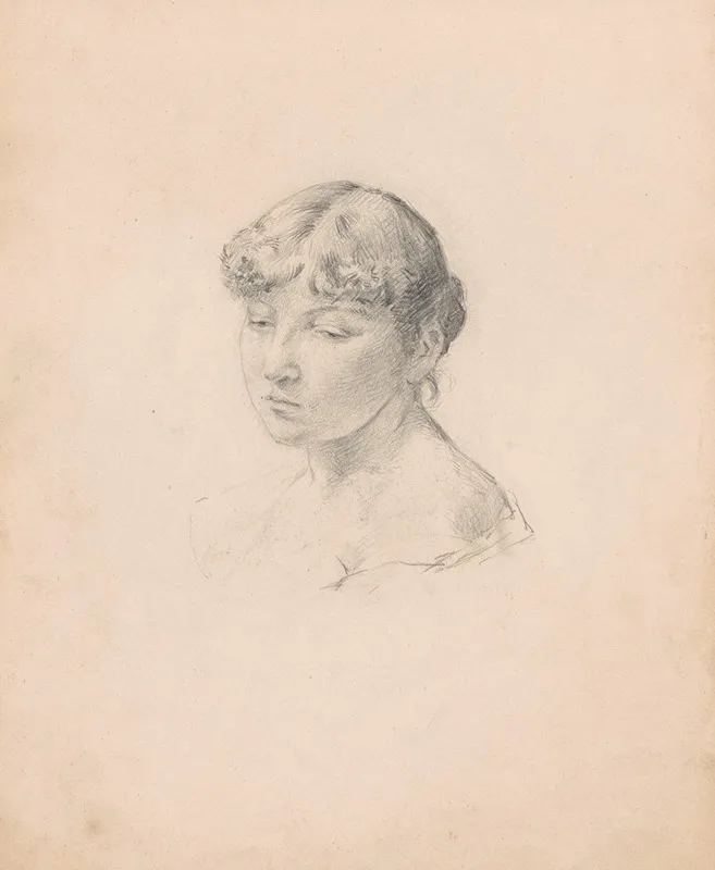 Portrait Of A Woman 252 Wall Art by Jan Willem Rosier - High-Resolution Digital Print