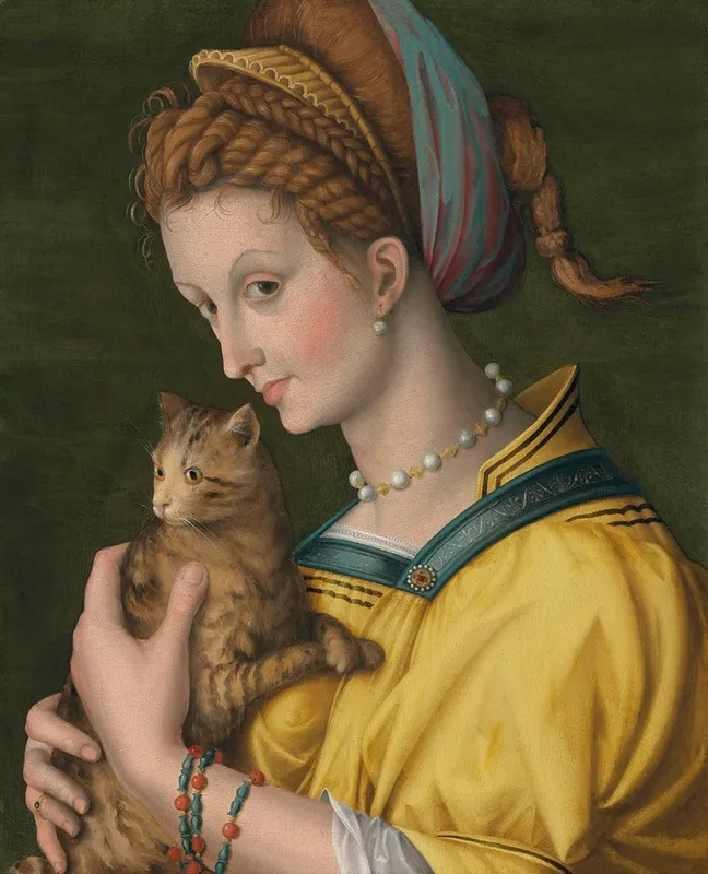 Portrait Of A Young Lady Holding A Cat Wall Art by Bacchiacca - High-Resolution Digital Print