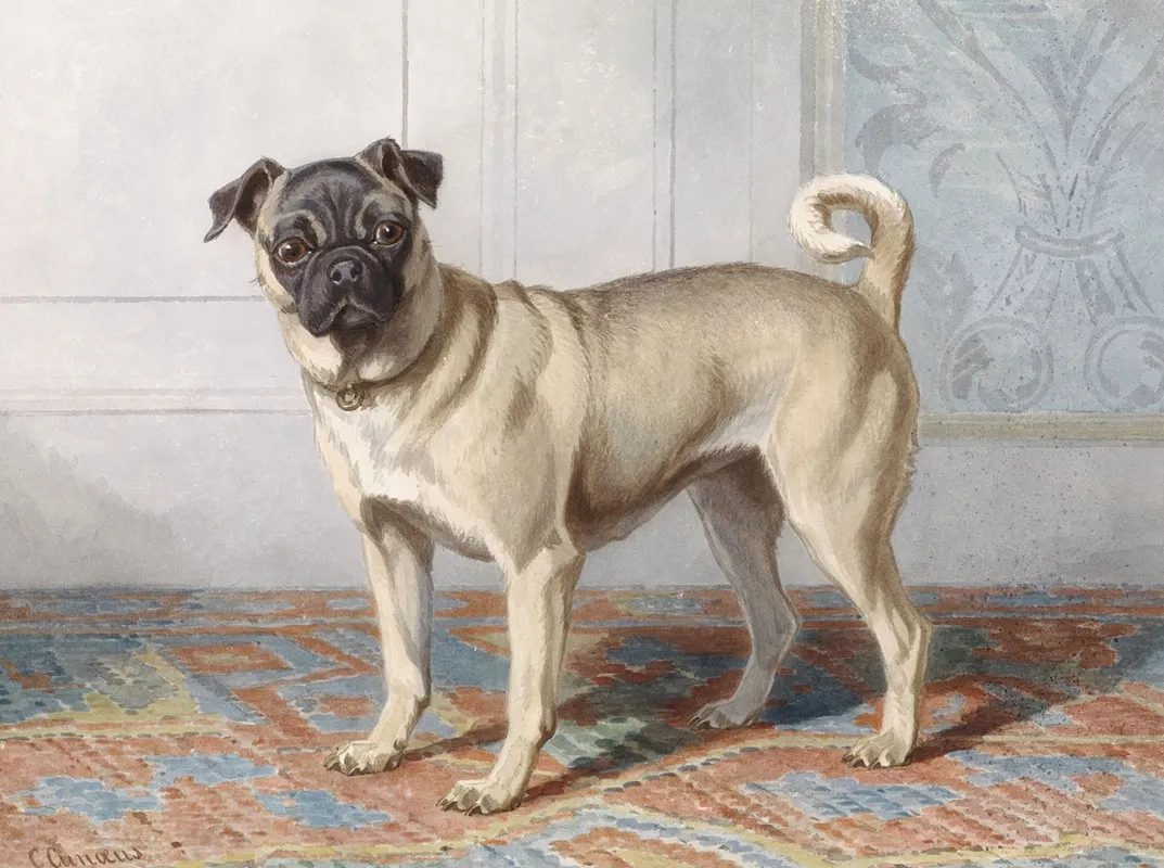 Portrait Of Edwin Vom Raths Pug Wall Art by Conradijn Cunaeus - High-Resolution Digital Print