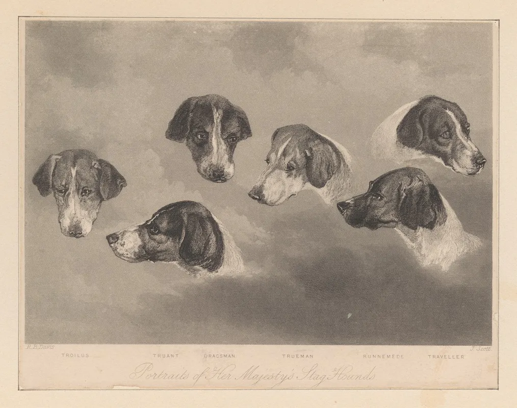 Portraits Of Her Majestys Stag Hounds Wall Art by Richard Barrett Davis - High-Resolution Digital Print