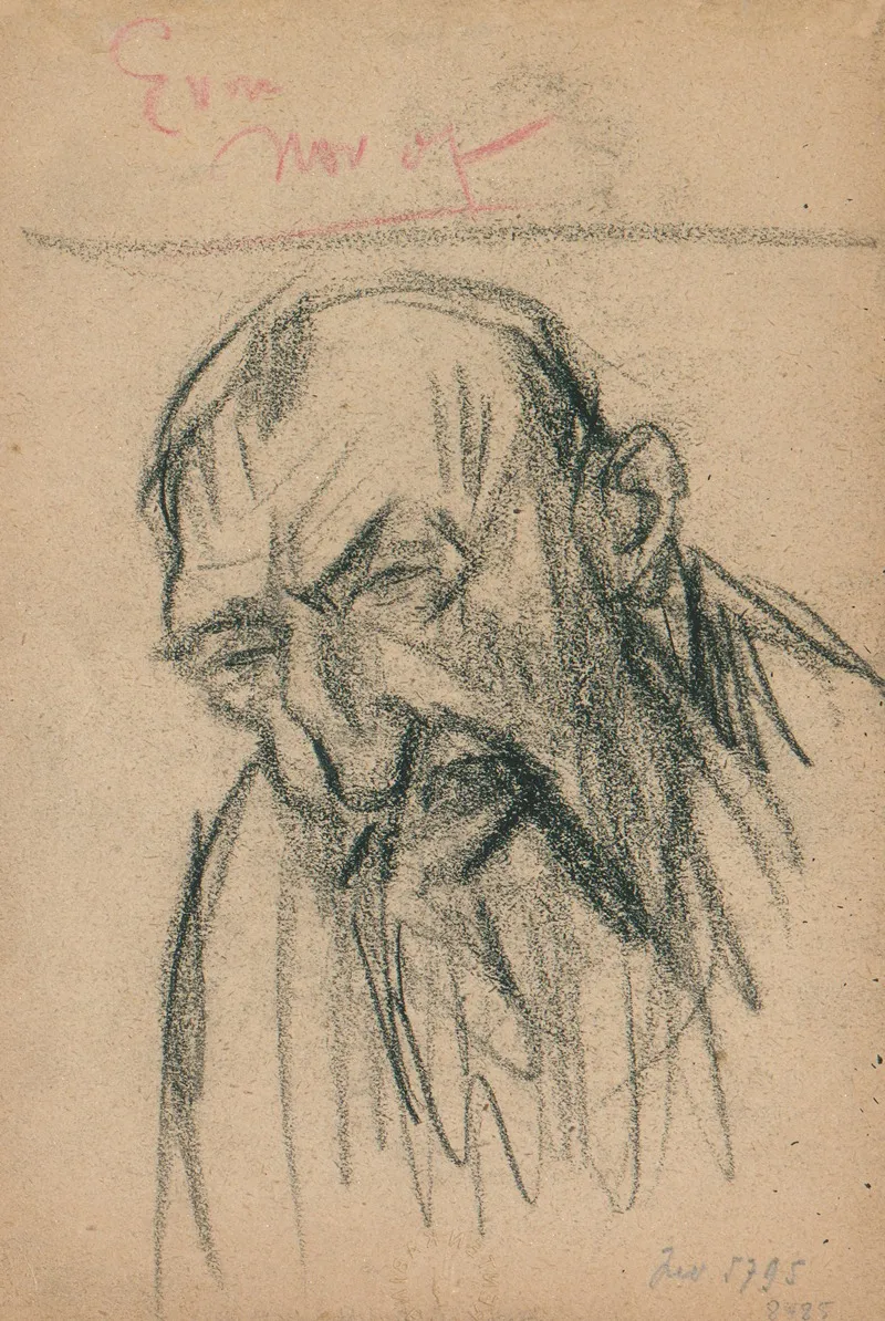 Portret Van Een Man Met Baard En Kromme Neus In Vooraanzicht