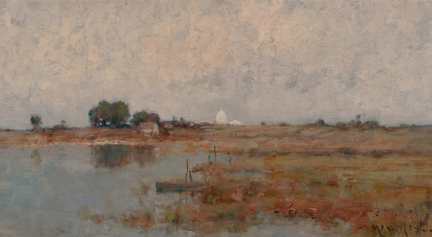 Potomac Marshlands With The United States Capitol In The Distance