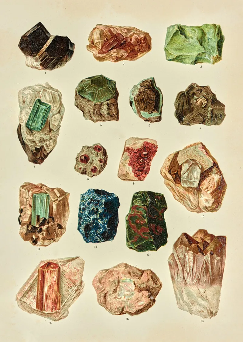 Precious Gems As They Are Found Wall Art by F. E. Wright - High-Resolution Digital Print