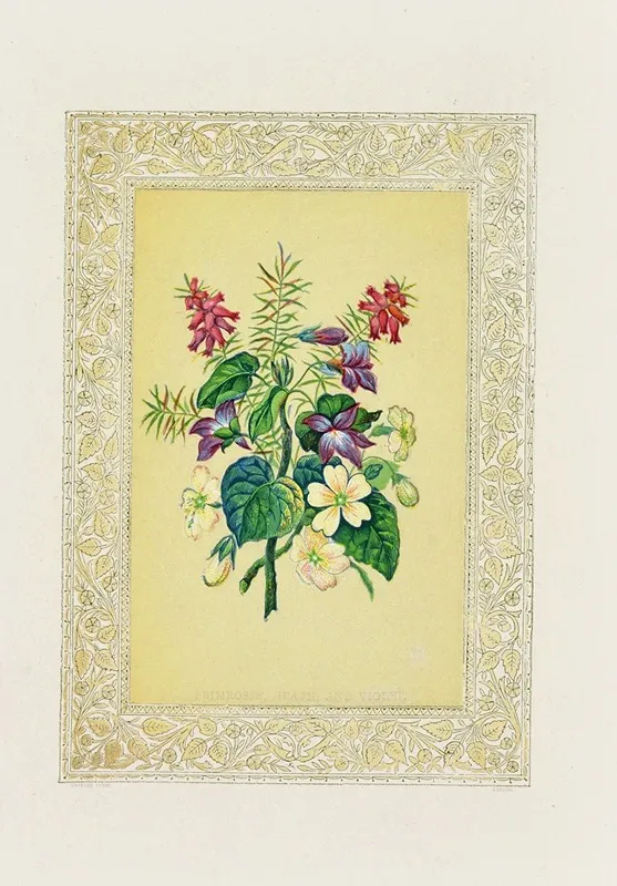 Primroses Heath Violet Wall Art by John Henry Ingram - High-Resolution Digital Print