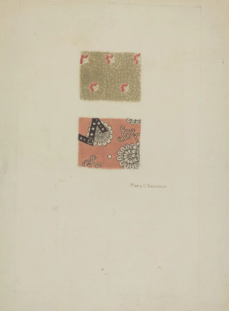 Printed Cotton 24