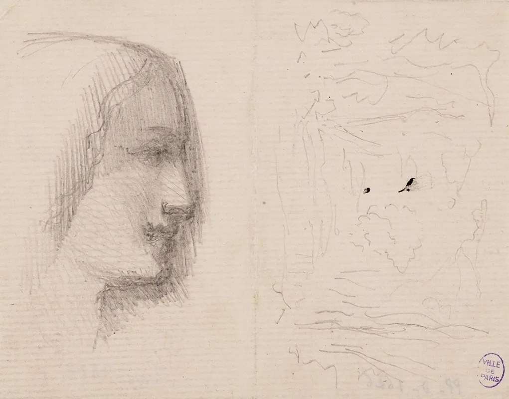 Profil De Femme A Droite Et Schema De Paysage