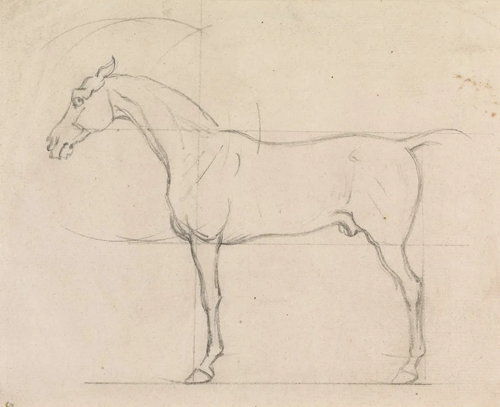 Profile Of A Horse Facing Left