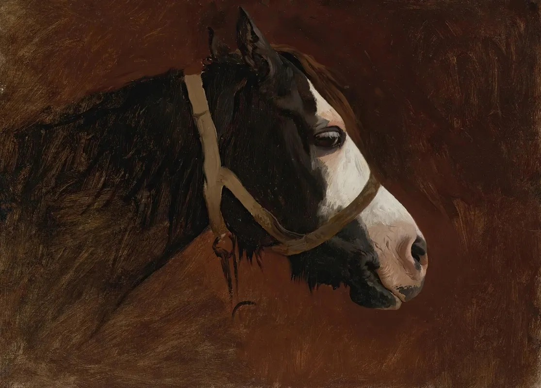 Profile Of A Horse