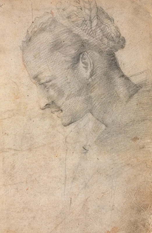 Profile Of A Womans Head Recto