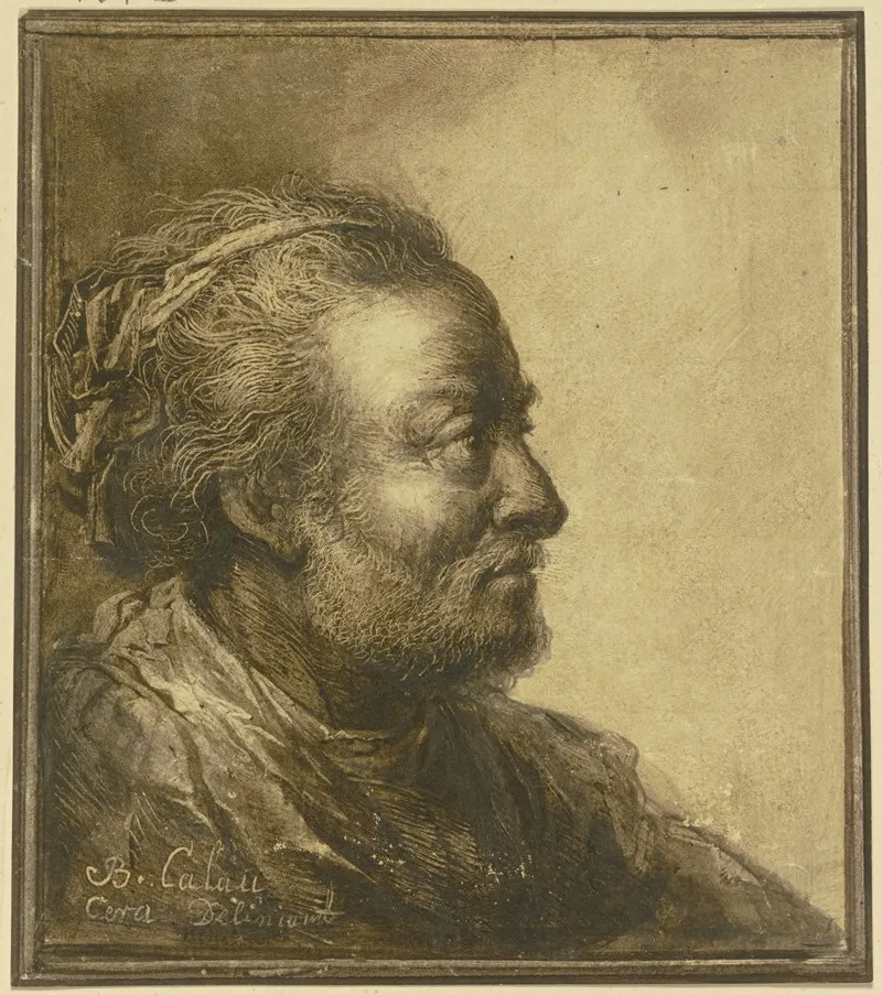 Profilkopf Eines Bartigen Mannes Nach Rechts Wall Art by Benjamin Calau - High-Resolution Digital Print