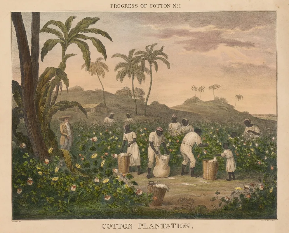 Progress Of Cotton 4 Carding Wall Art by James Richard Barfoot - High-Resolution Digital Print