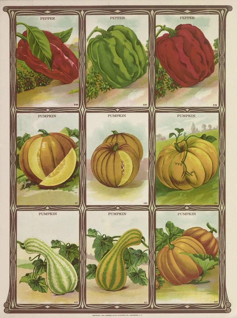 Pumpkin Wall Art by Genesee Valley Lithograph Co. - High-Resolution Digital Print