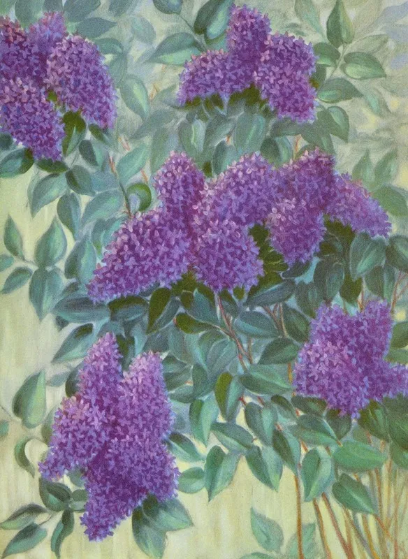 Purple Lilac Wall Art by Lafayette F. Cargill - High-Resolution Digital Print