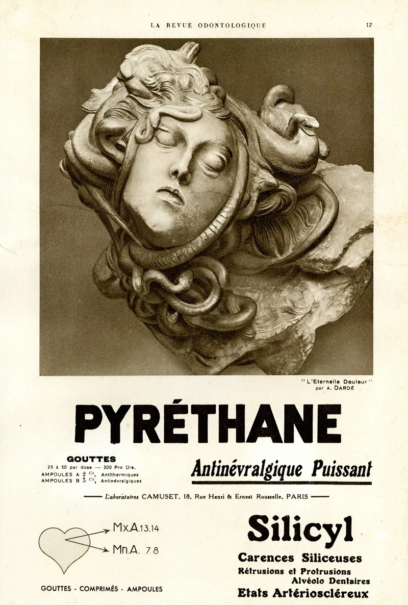Pyrethane Wall Art by Laboratoires Camuset - High-Resolution Digital Print