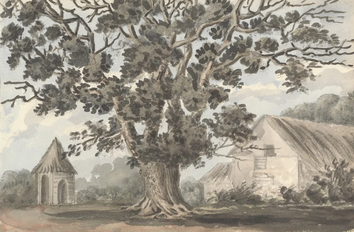 Queen Elizabeths Oak Near Finborough Hall