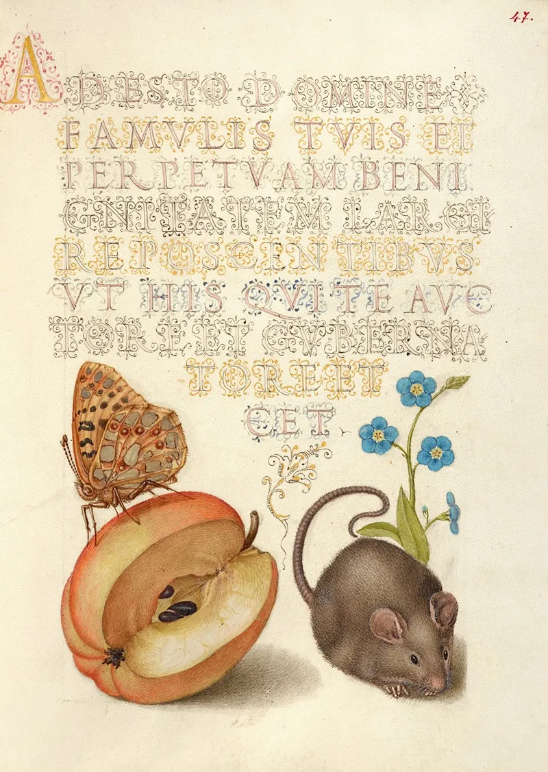 Queen Of Spain Fritillary Apple Mouse And Creeping Forget Me Not