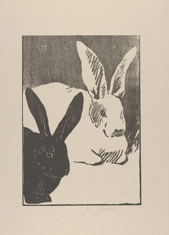 Rabbits Les Lapins