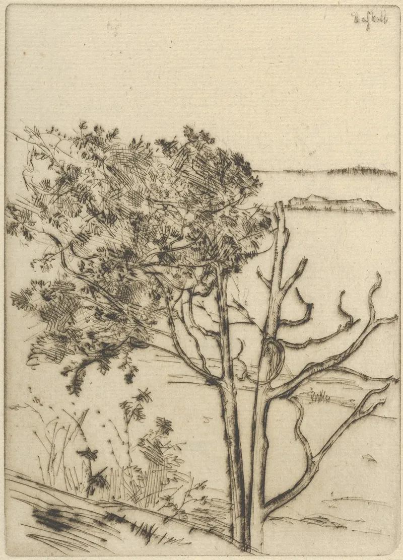 Ragged Tree Maine