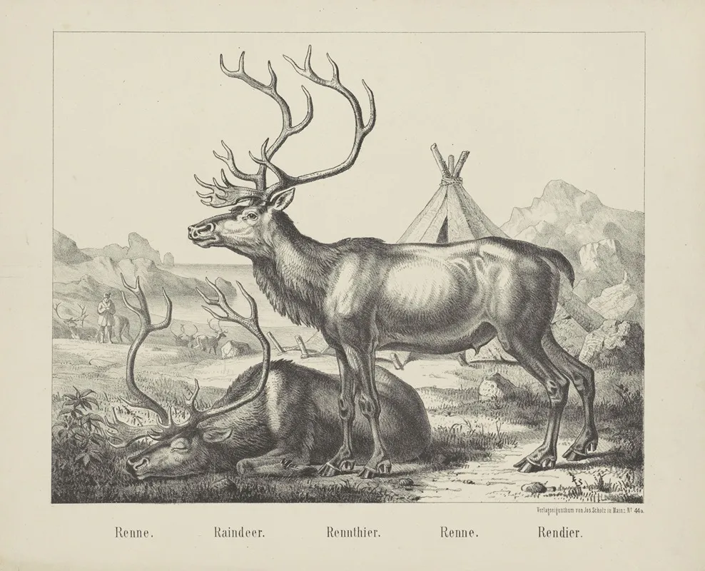 Raindeer Wall Art by Joseph Scholz - High-Resolution Digital Print