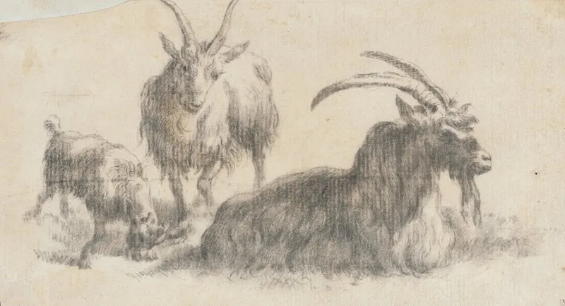 Ram Ewe And Kid Wall Art by Marcus de Bye - High-Resolution Digital Print