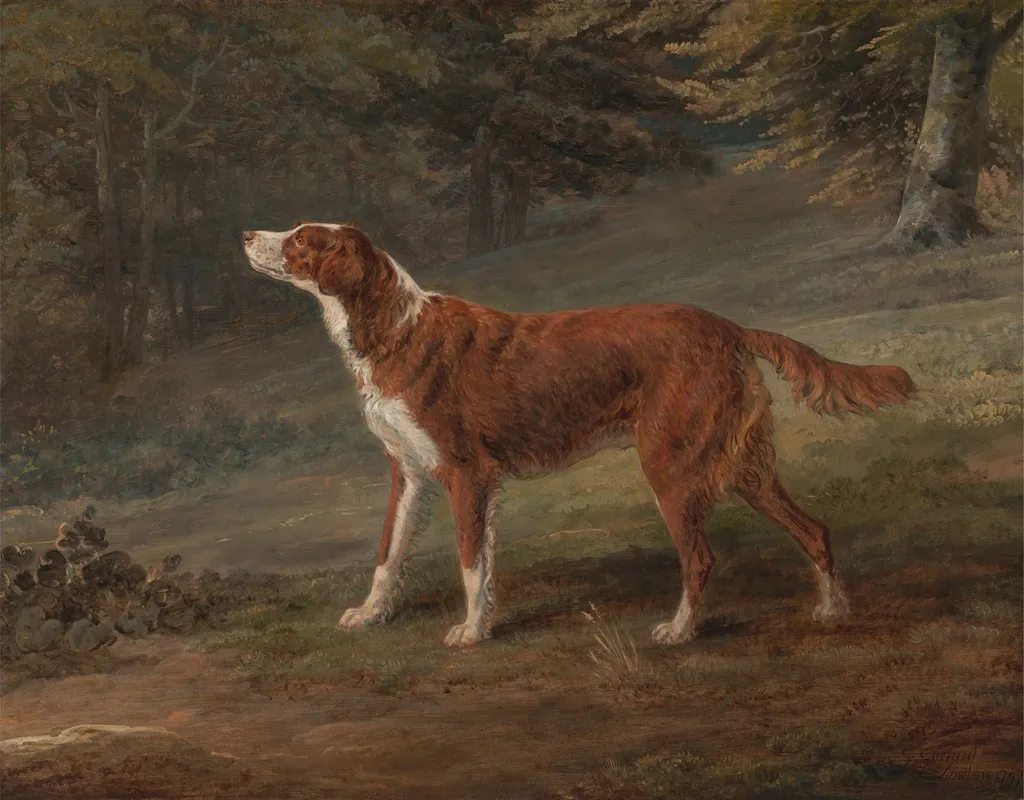 Ranger A Setter The Property Of Elizabeth Gray Wall Art by George Garrard - High-Resolution Digital Print