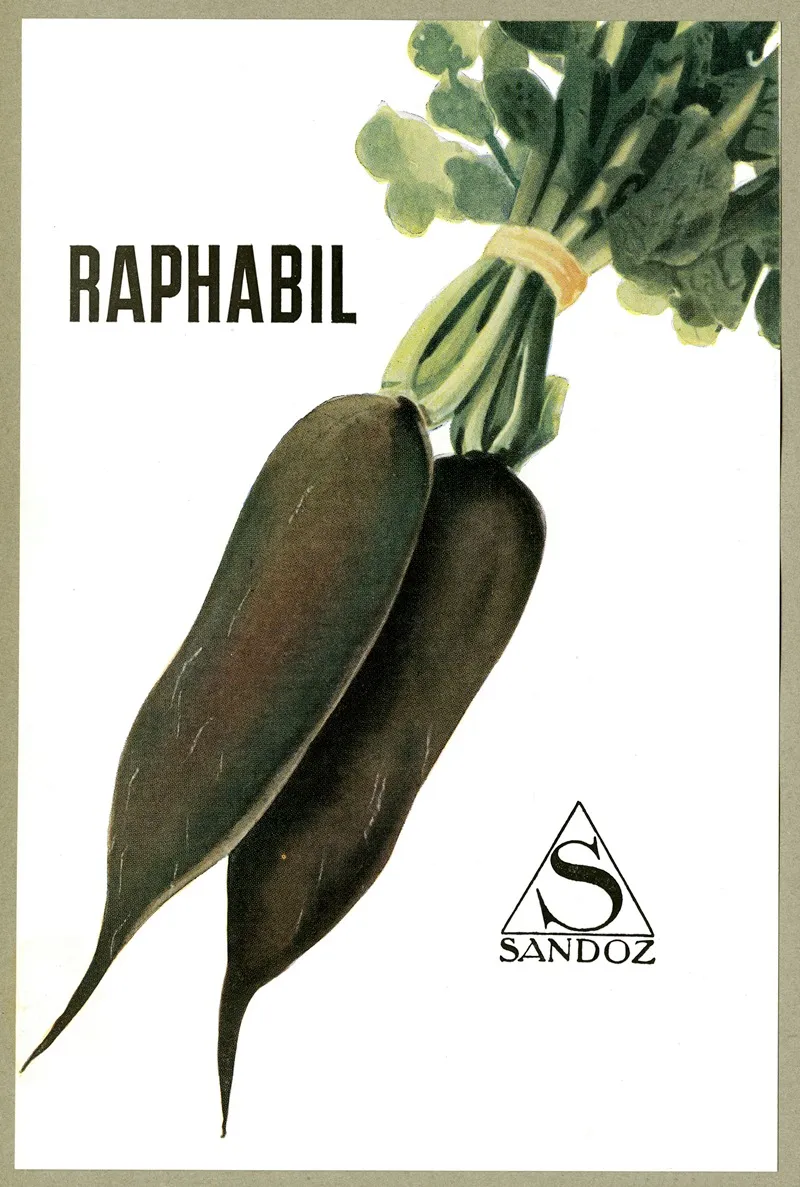Raphabil 2 Wall Art by Sandoz - High-Resolution Digital Print