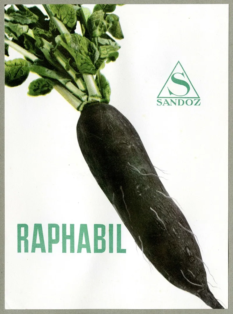 Raphabil 3 Wall Art by Sandoz - High-Resolution Digital Print