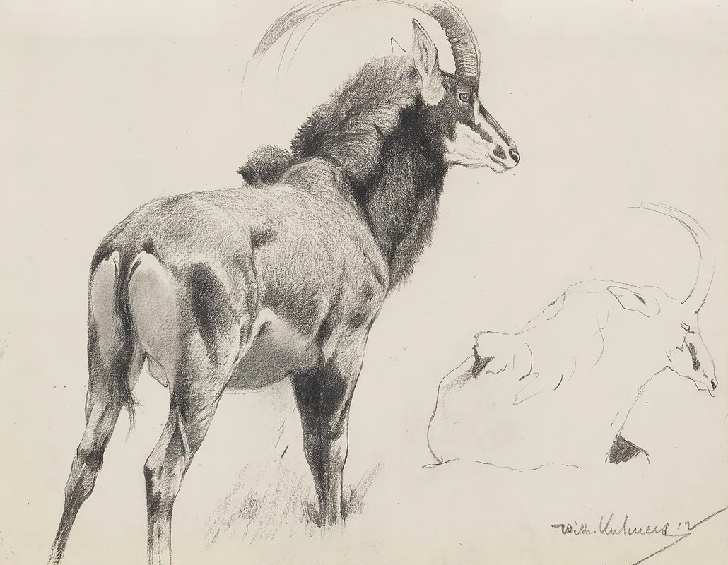 Drawings