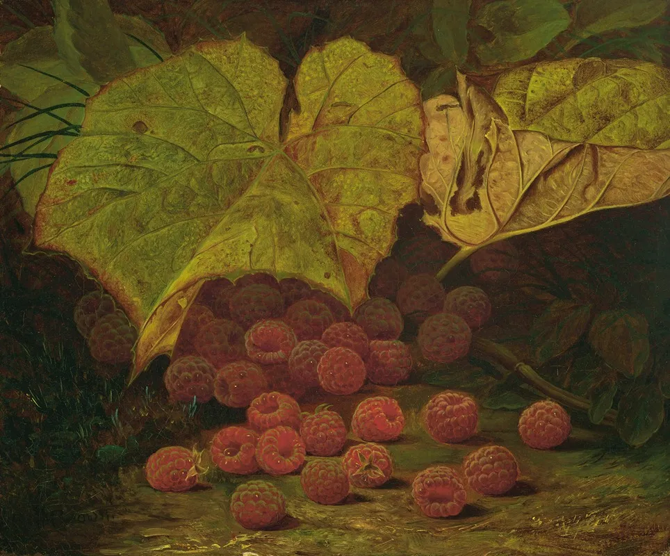 Raspberries Among The Leaves