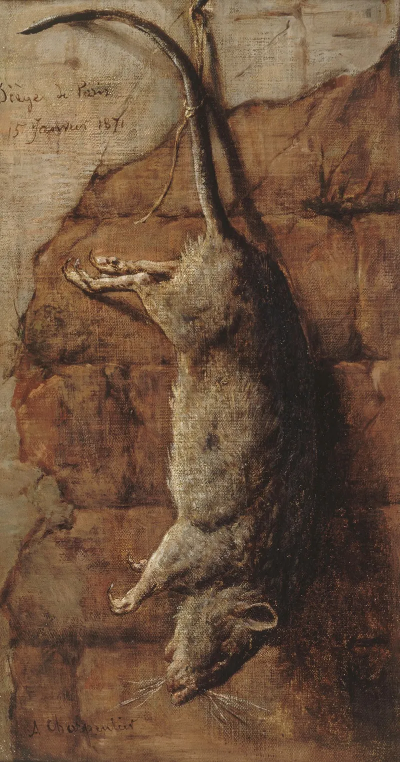 Rat Ayant Servi A Lalimentation Pendant Le Siege De Paris Wall Art by Auguste Charpentier - High-Resolution Digital Print