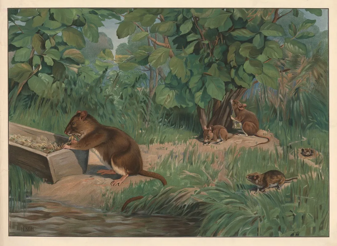 Rats And Mice Wall Art by Hans Schmidt - High-Resolution Digital Print