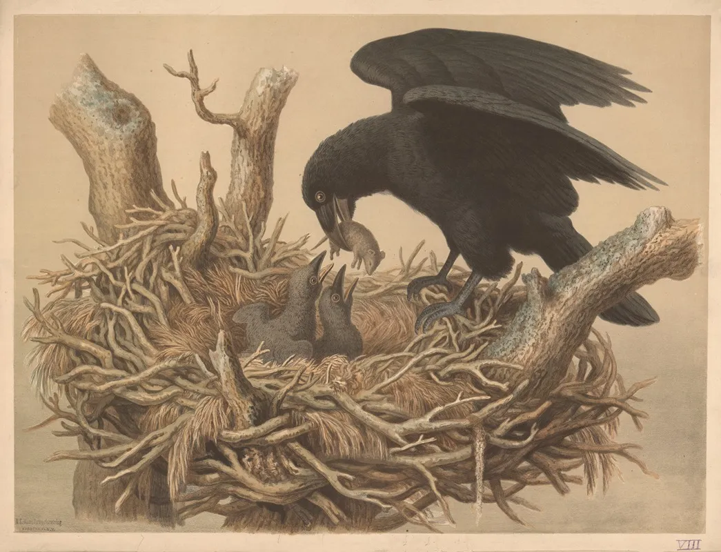 Raven 5 Wall Art by Emil Schmidt - High-Resolution Digital Print