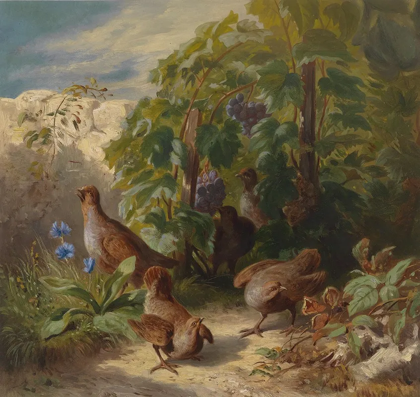 Rebhuhner Wall Art by Josef Schuster - High-Resolution Digital Print