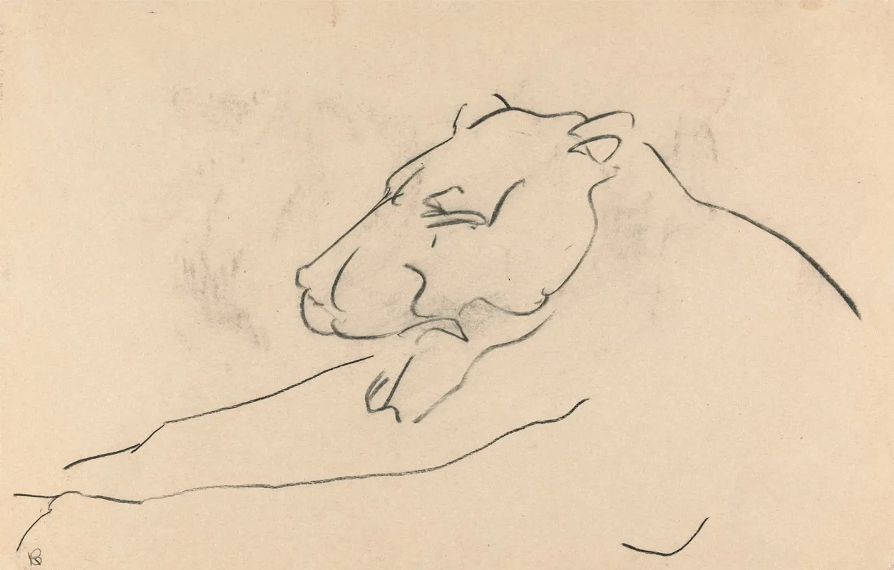 Reclining Lioness