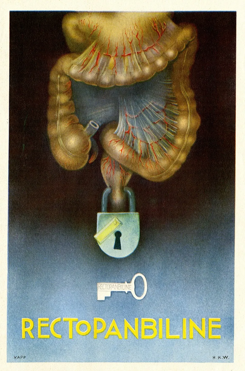 Rectopanbiline 2 Wall Art by Laboratoire du docteur Plantier - High-Resolution Digital Print