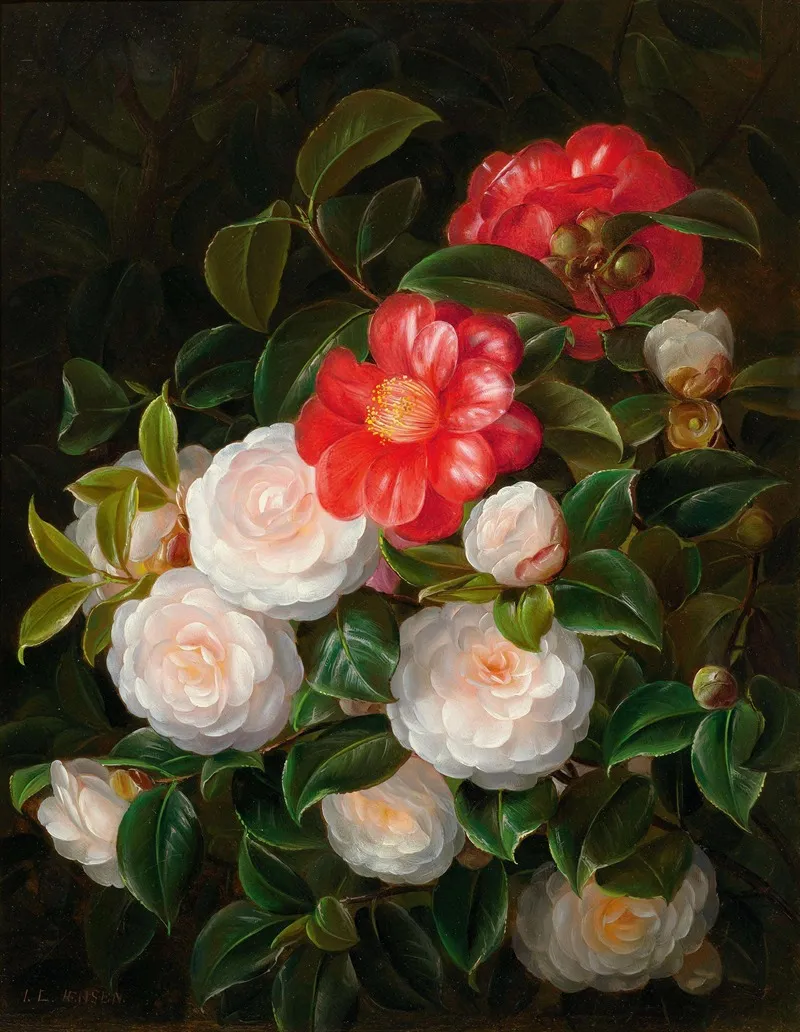 Red And White Camellias Wall Art by Johan Laurentz Jensen - High-Resolution Digital Print