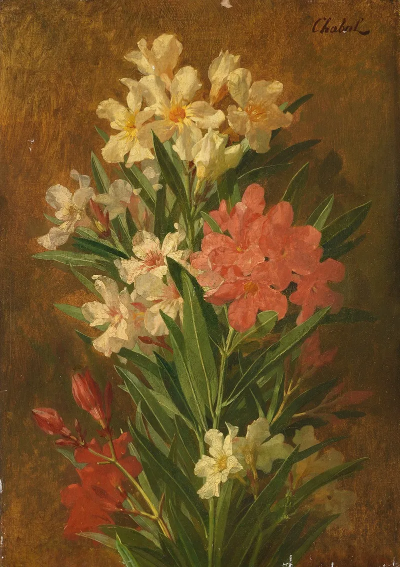 Red And White Flowering Oleander Wall Art by Pierre Adrien Chabal-Dussurgey - High-Resolution Digital Print