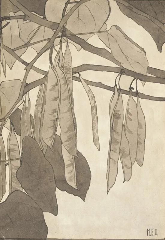 Red Bud In Gray