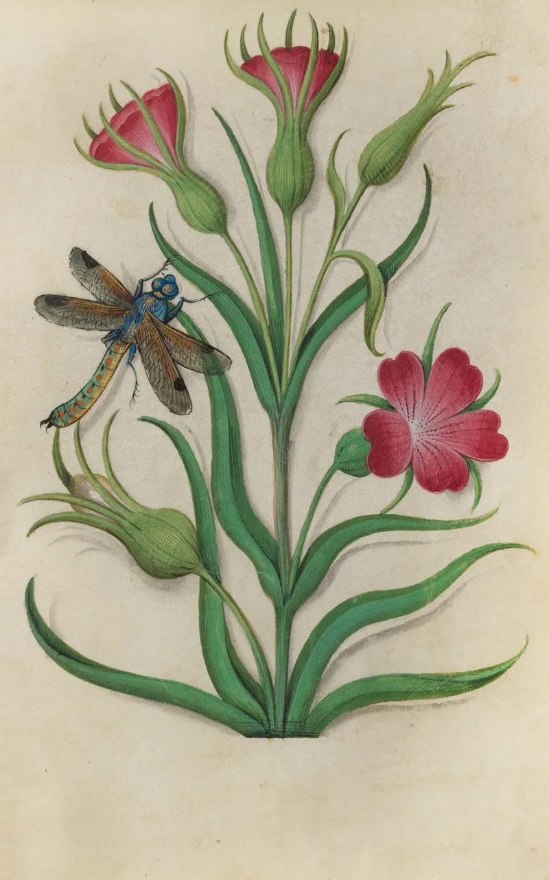 Red Catchfly Silene Dioica With A Dragonfly Wall Art by Master of Claude de France - High-Resolution Digital Print