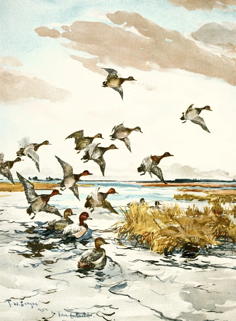 Red Heads Coming In Wall Art by Frank Weston Benson   - High-Resolution Digital Print