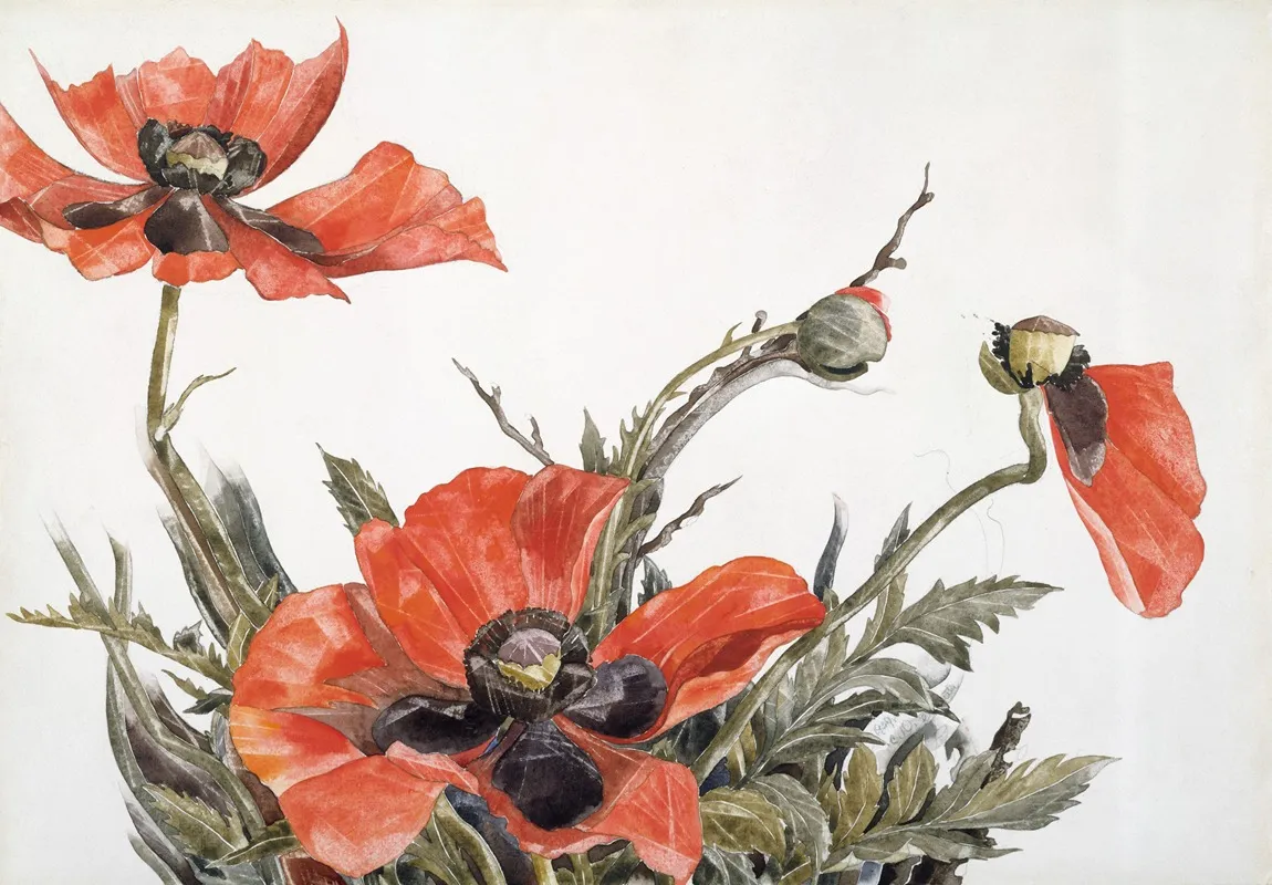 Red Poppies 2 Wall Art by Charles Demuth - High-Resolution Digital Print