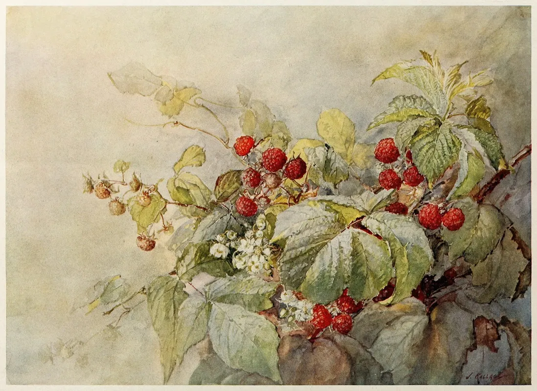 Red Raspberries Wall Art by Joseph Kallaus - High-Resolution Digital Print