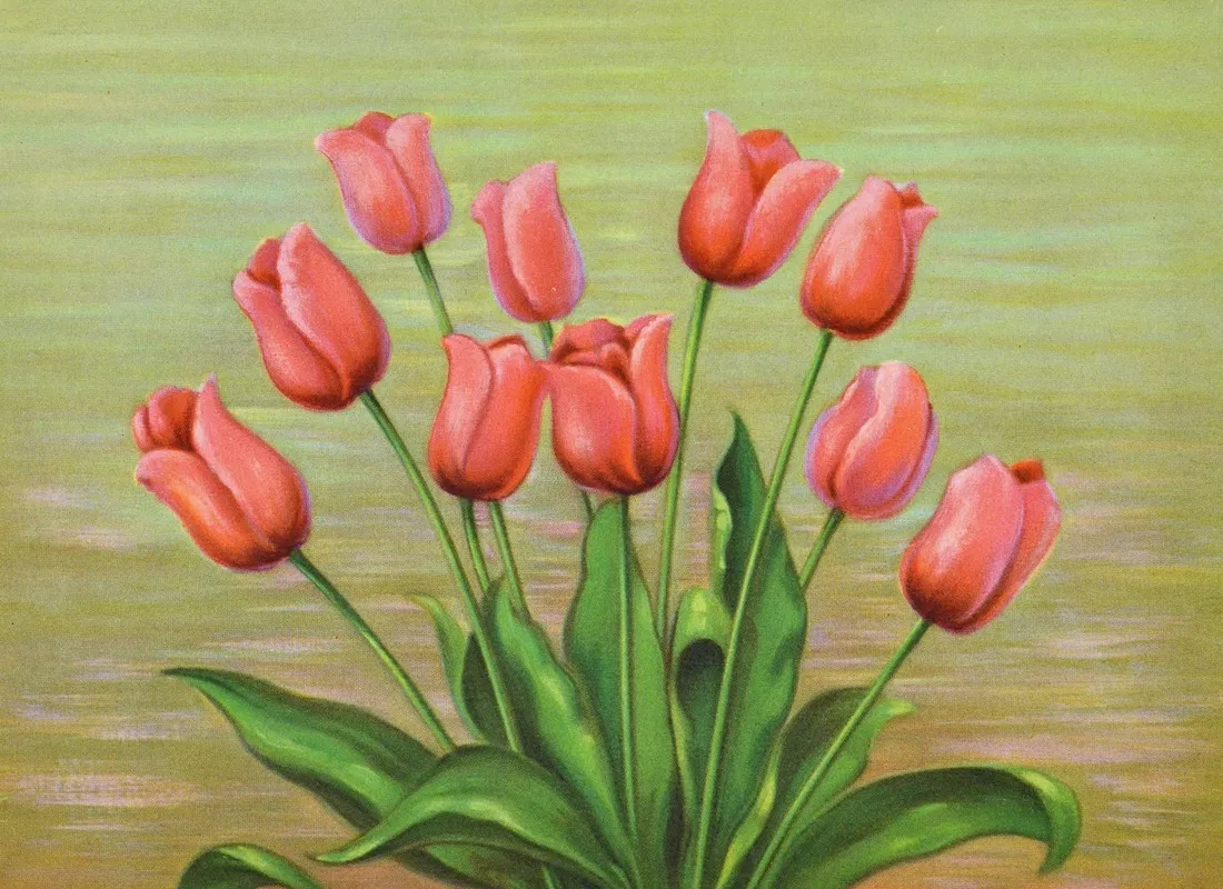 Red Tulip Wall Art by Lafayette F. Cargill - High-Resolution Digital Print