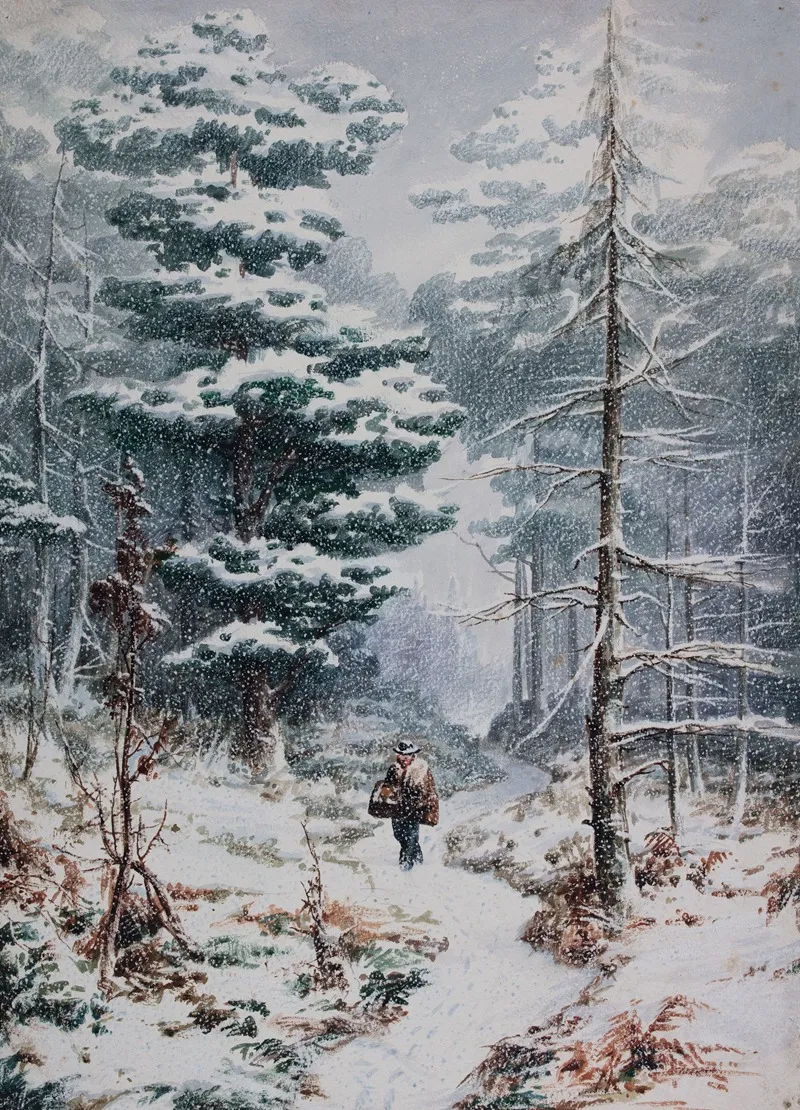 Rednal Wood Winter