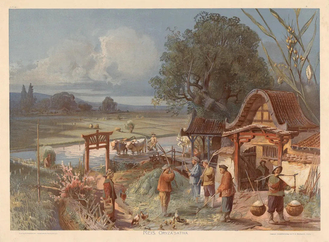 Reis Oryza Sativa Wall Art by Goering-Schmidt - High-Resolution Digital Print